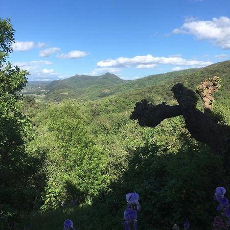 La Petite Adresse De Rose Maison De Vacances Entree Autonome Le Poujol-sur-Orb ภายนอก รูปภาพ