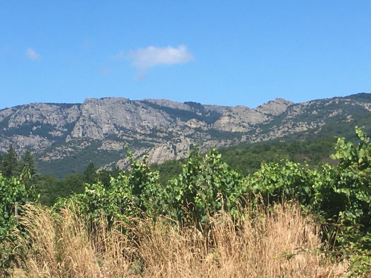 La Petite Adresse De Rose Maison De Vacances Entree Autonome Le Poujol-sur-Orb ภายนอก รูปภาพ