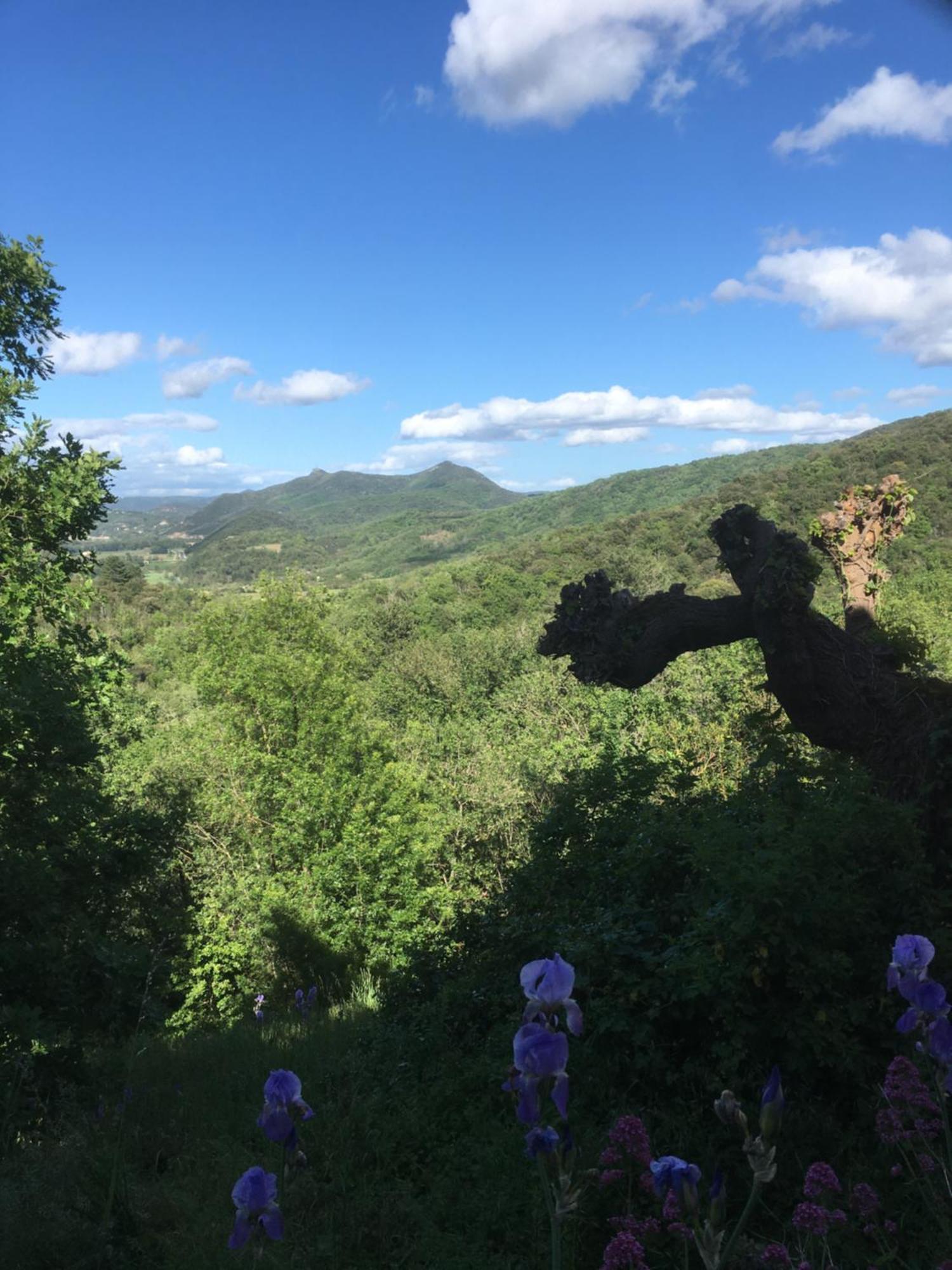 La Petite Adresse De Rose Maison De Vacances Entree Autonome Le Poujol-sur-Orb ภายนอก รูปภาพ